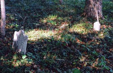 Small stones standing among the trees in the Holland–Leak–Adair burying ground