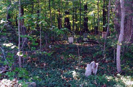 The wooded Holland–Leak–Adair burying ground with scattered stones