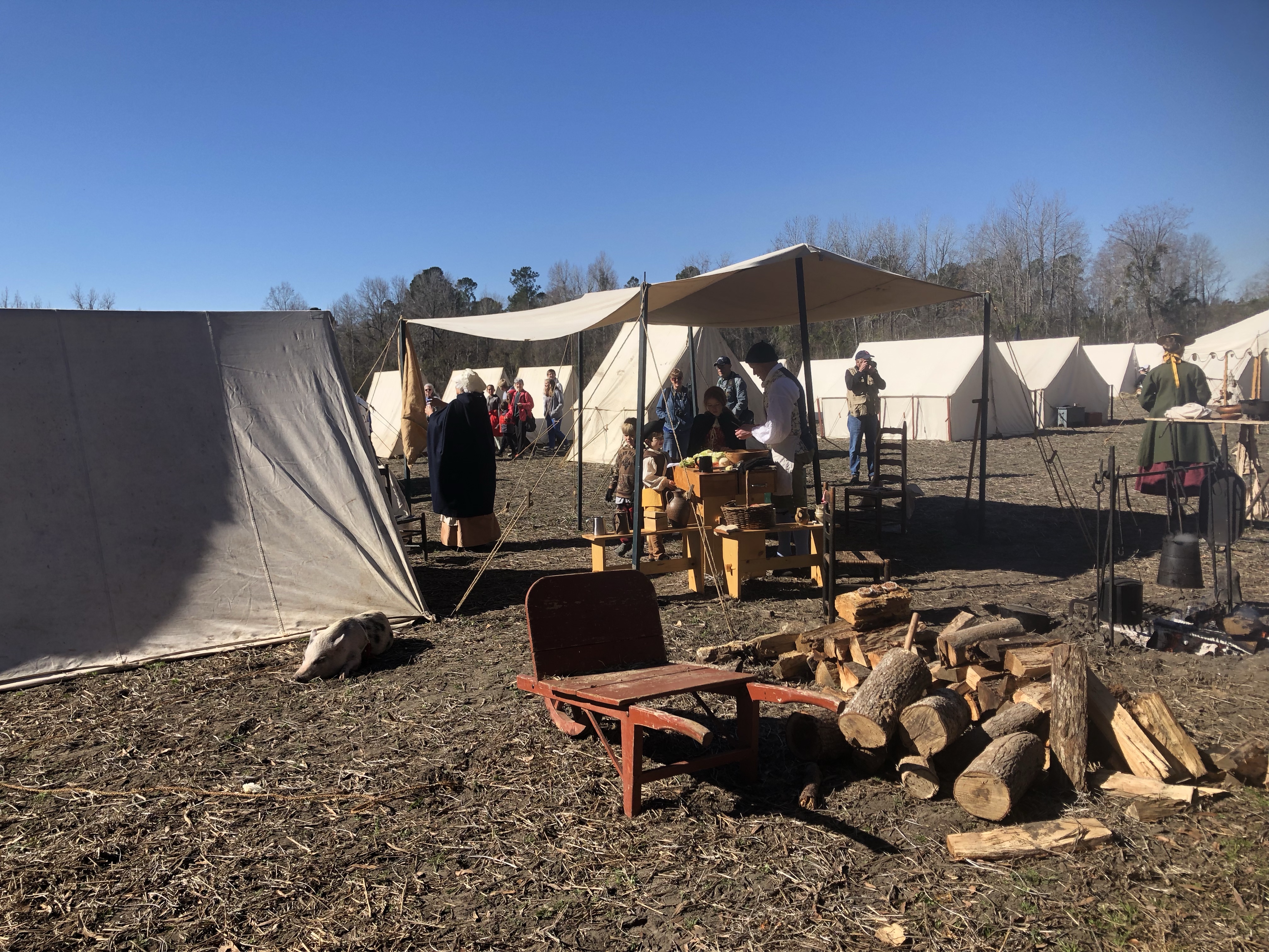 Reenactment camp with a pile of firewood and a red wheelbarrow