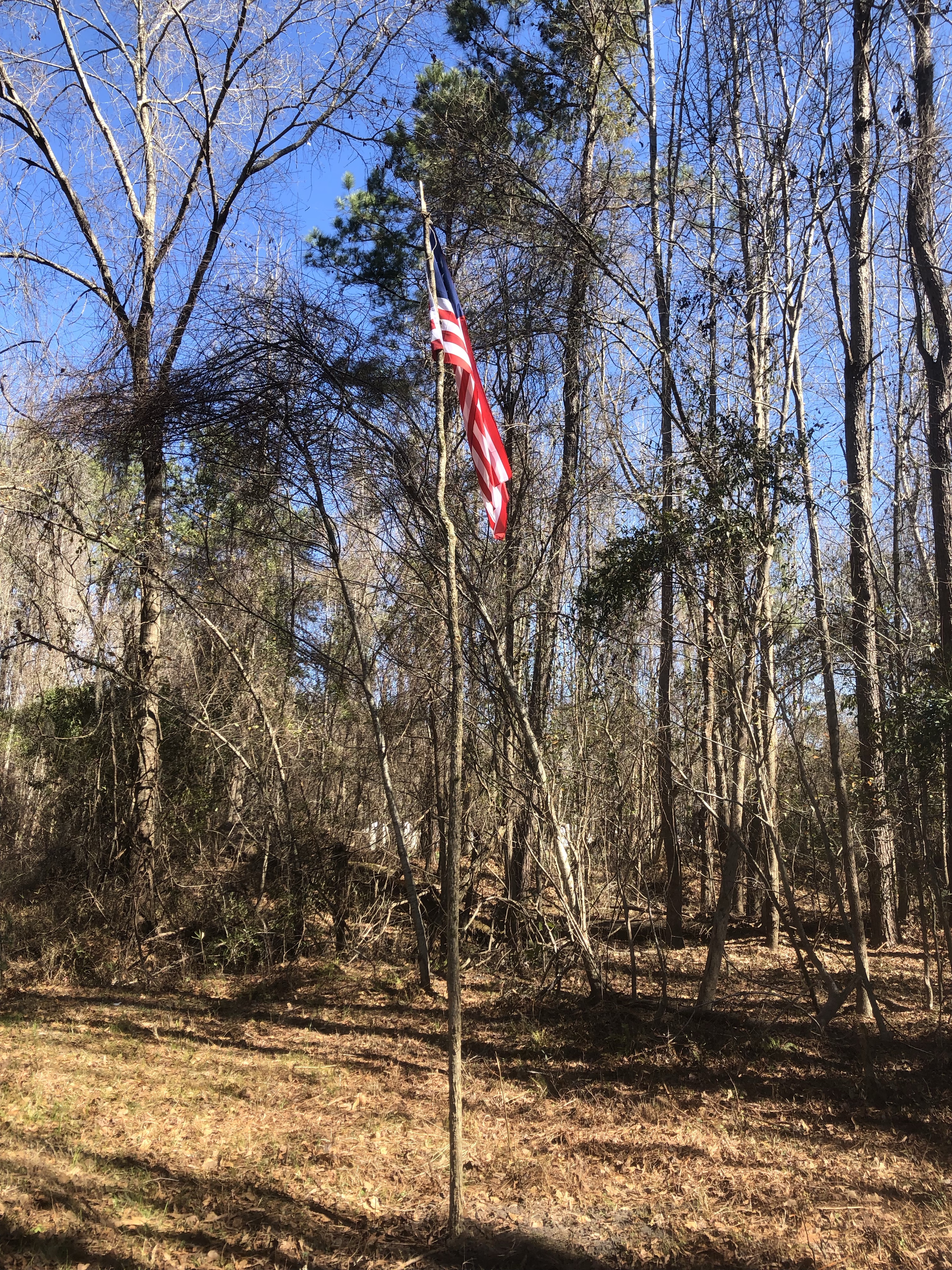 American flag on a pole in the winter woods