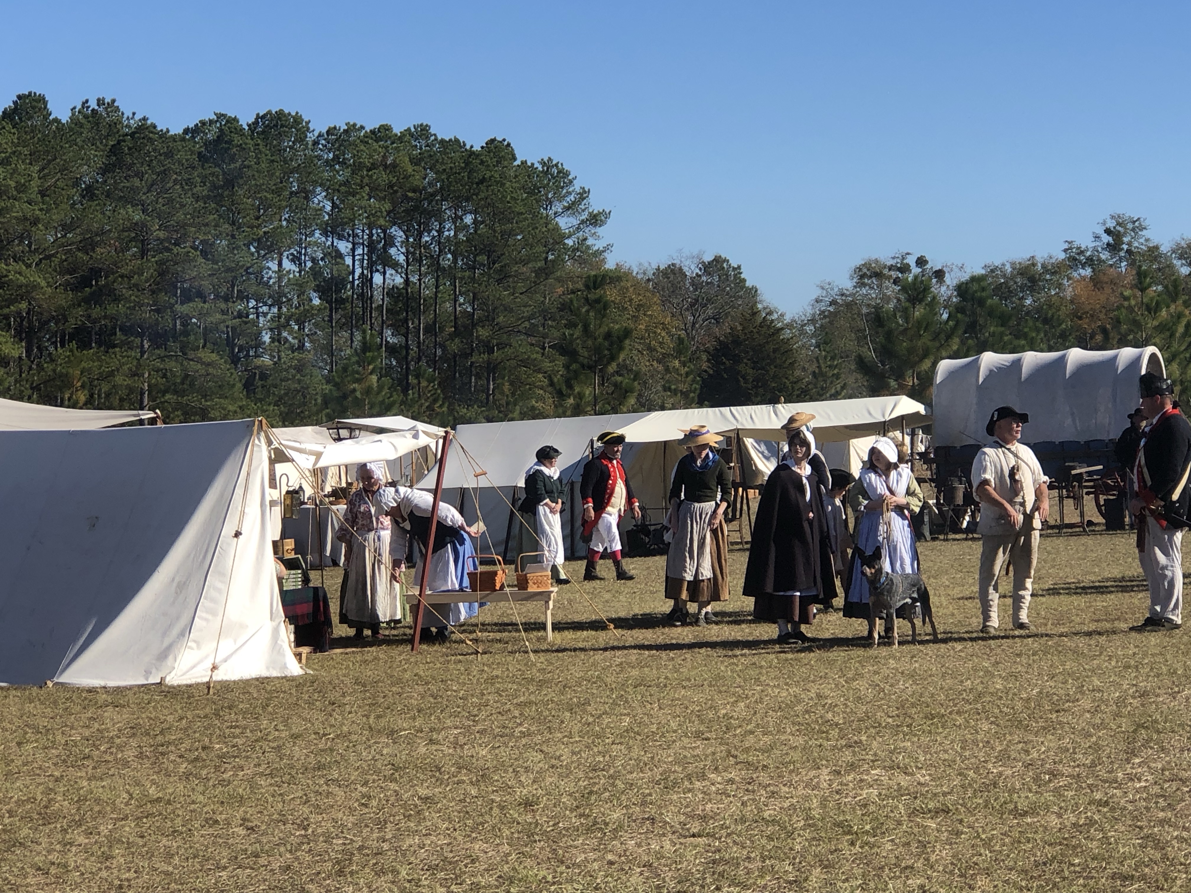 Visitors and reenactors among white canvas tents at the Camden reenactment camp