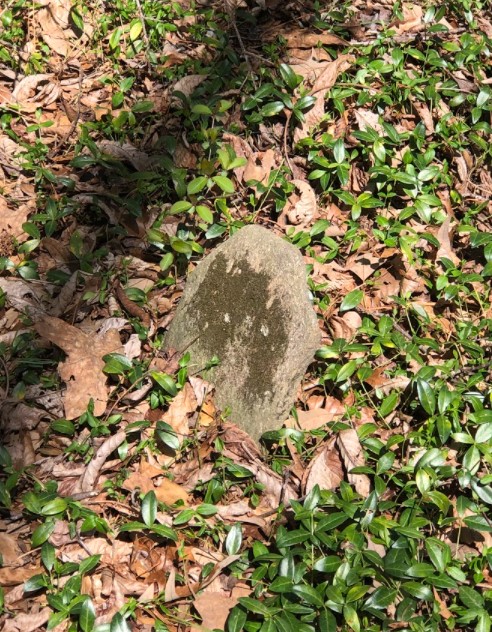 Plain fieldstone grave marker in the leaves