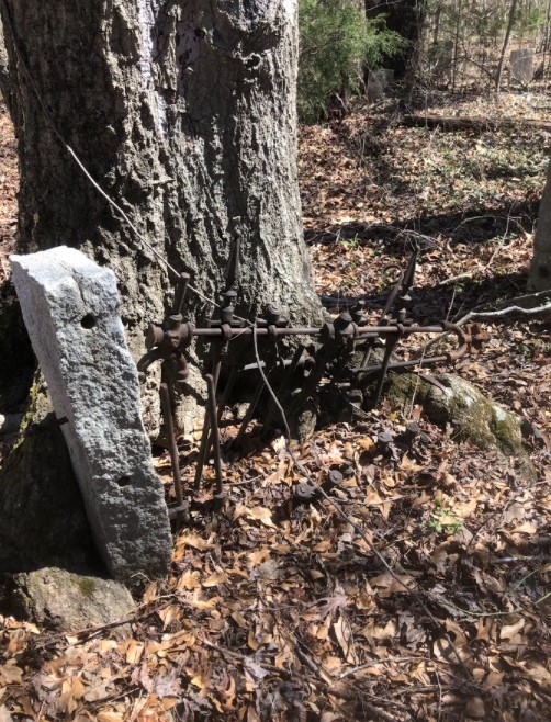Iron cemetery fence set in a granite post beside a large tree, 2022