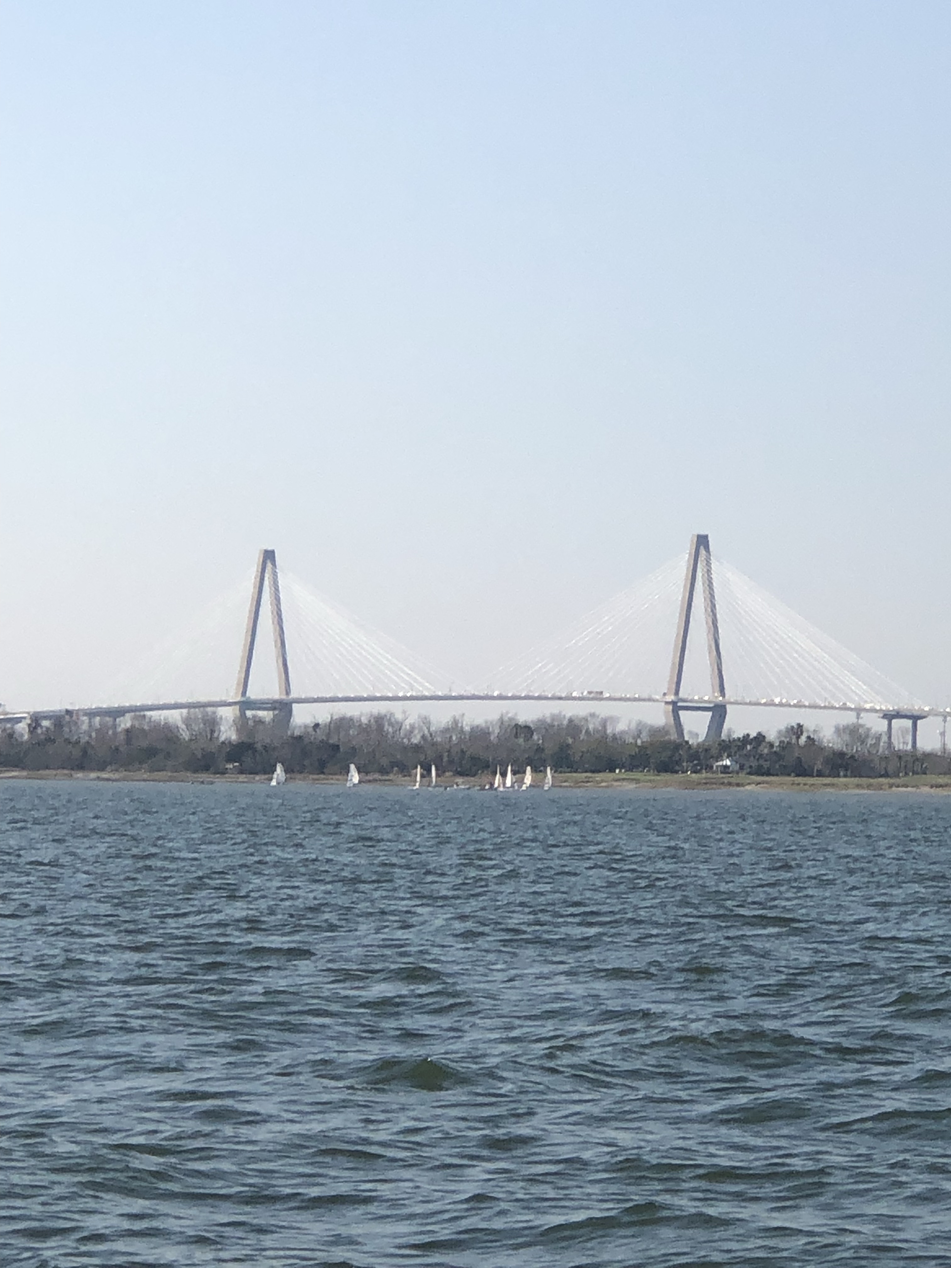 The Arthur Ravenel Jr. Bridge seen across Charleston Harbor