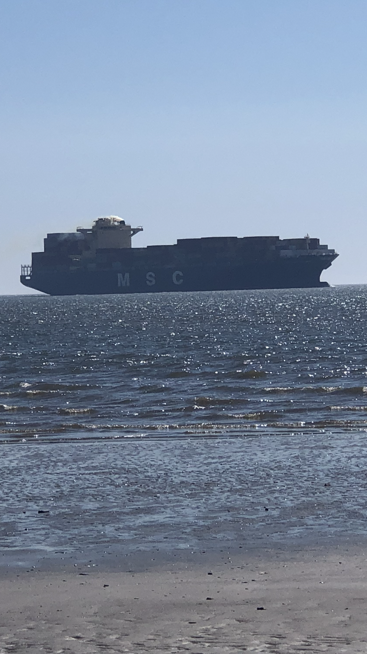 Large container ship passing by the beach