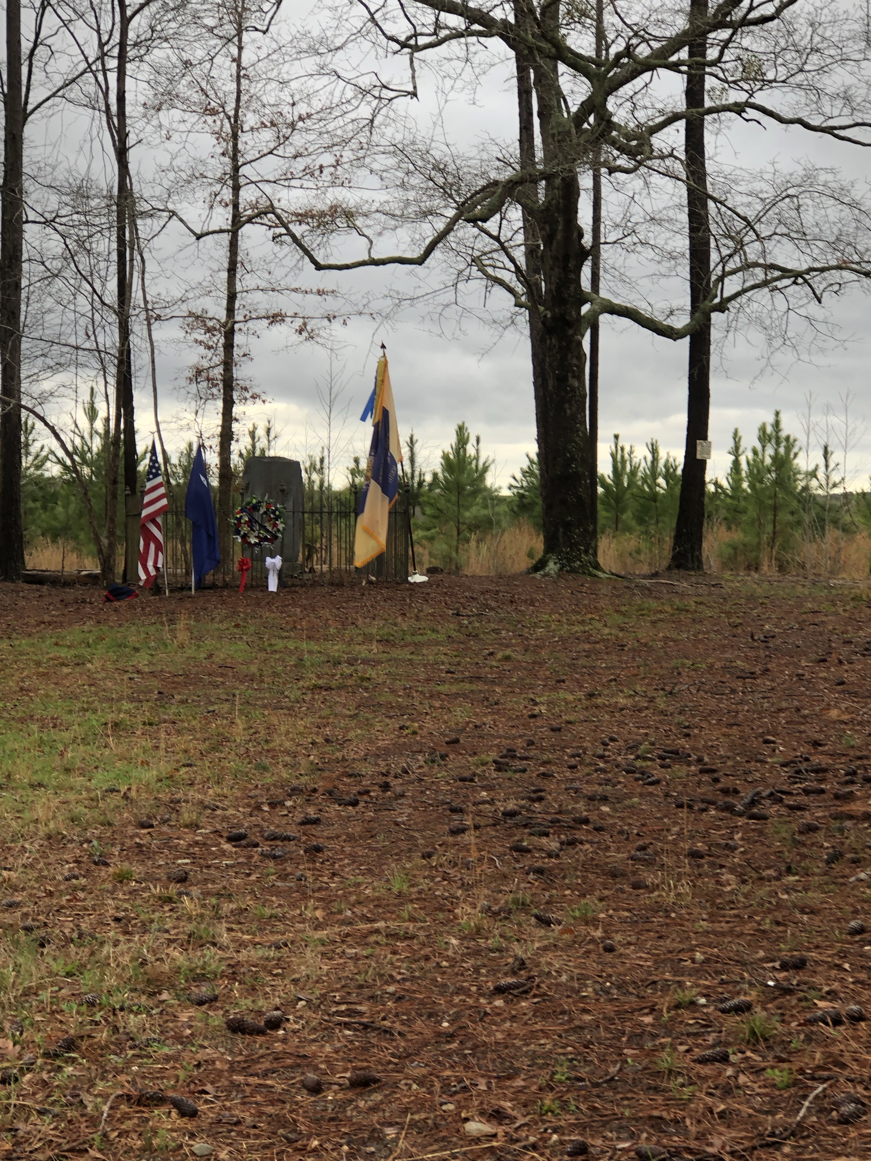 Flags among bare winter trees at the Hayes Station site, March 2022