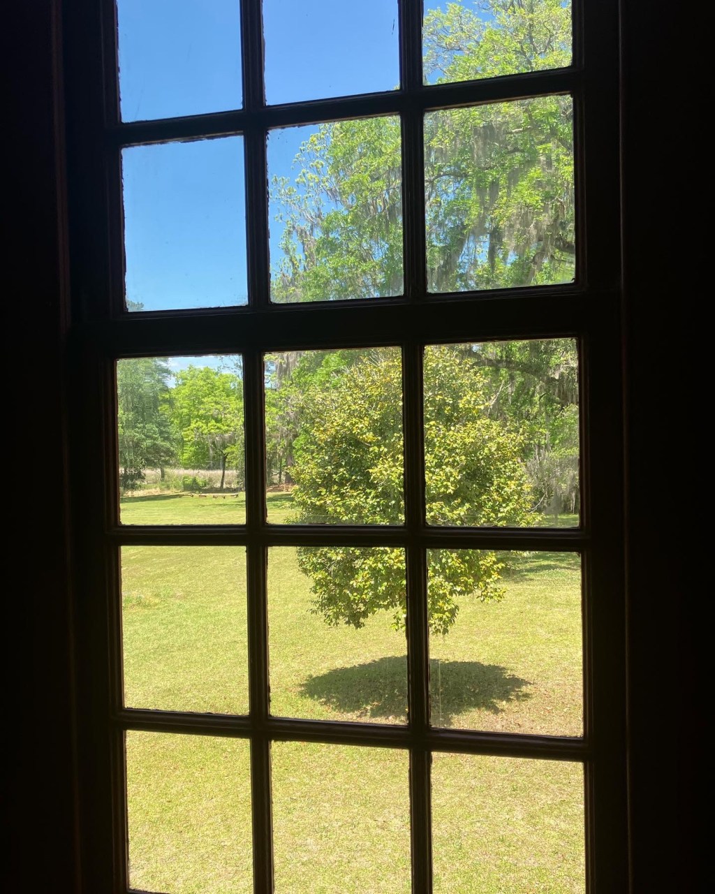 Tall multi-pane window looking out on the lawn