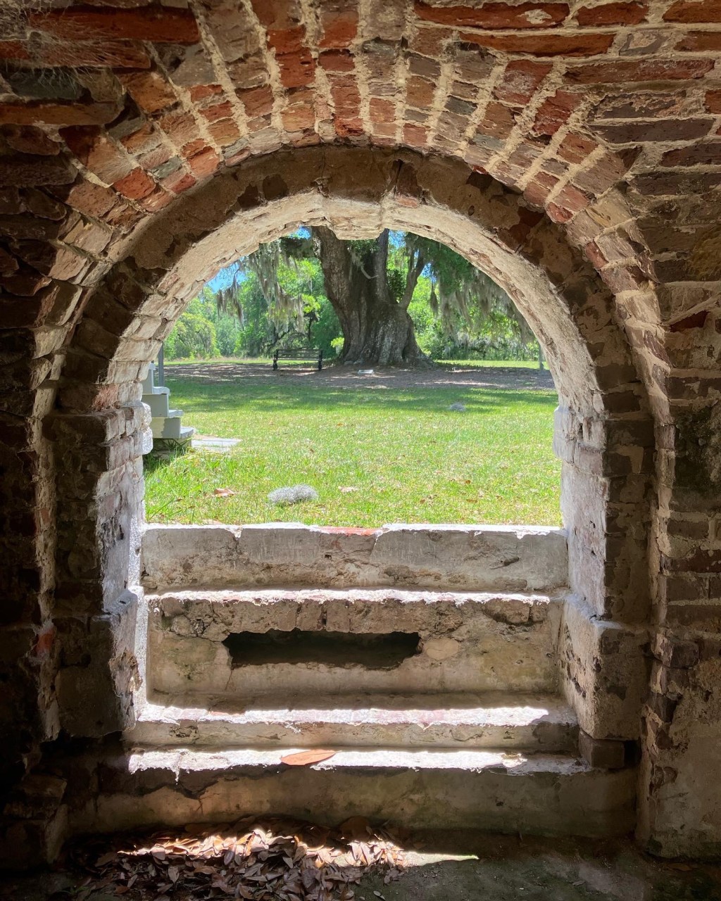Arched opening in the brick foundation framing a live oak
