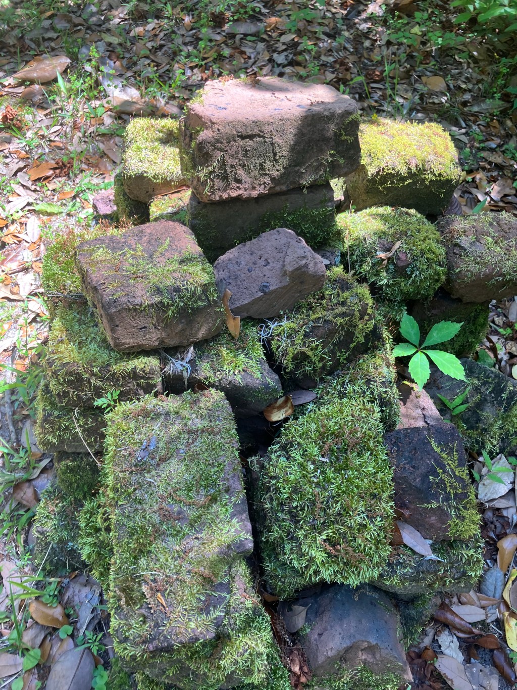 Pile of old mossy bricks near the cemetery
