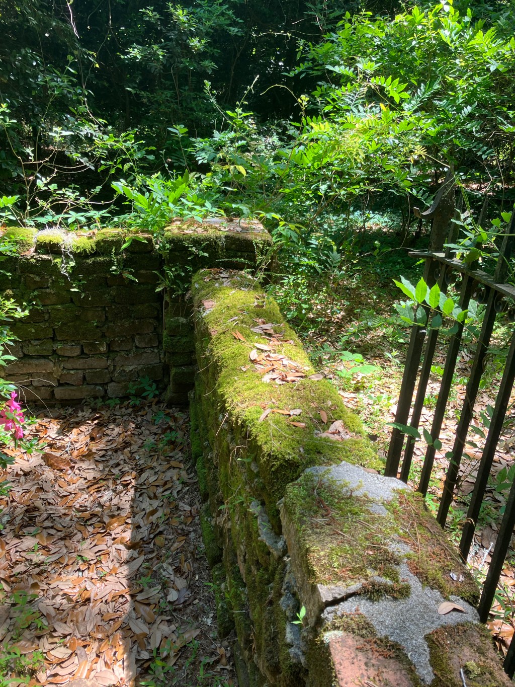 Mossy brick cemetery wall with an iron fence