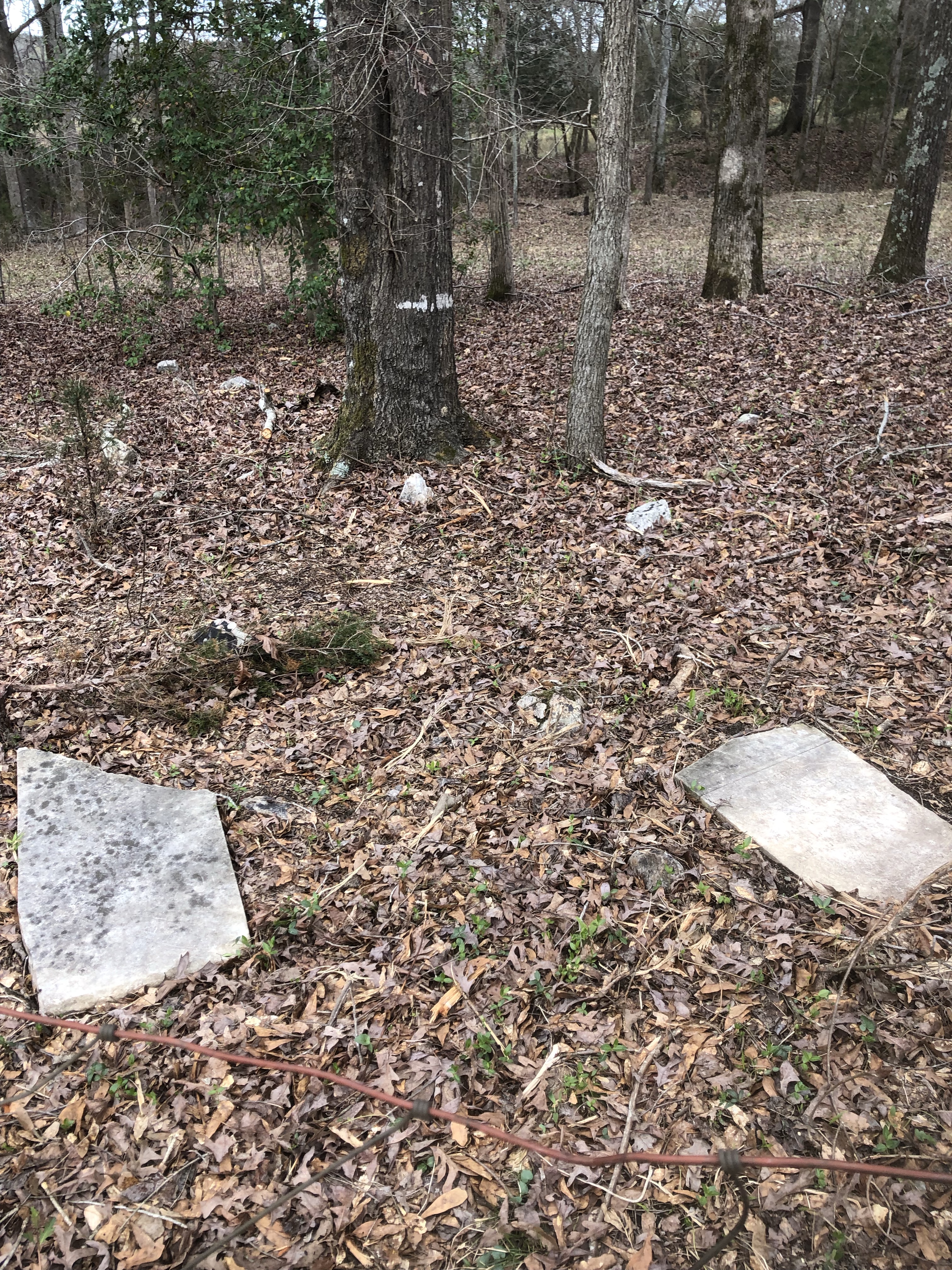 Holland Cemetery, March 2022