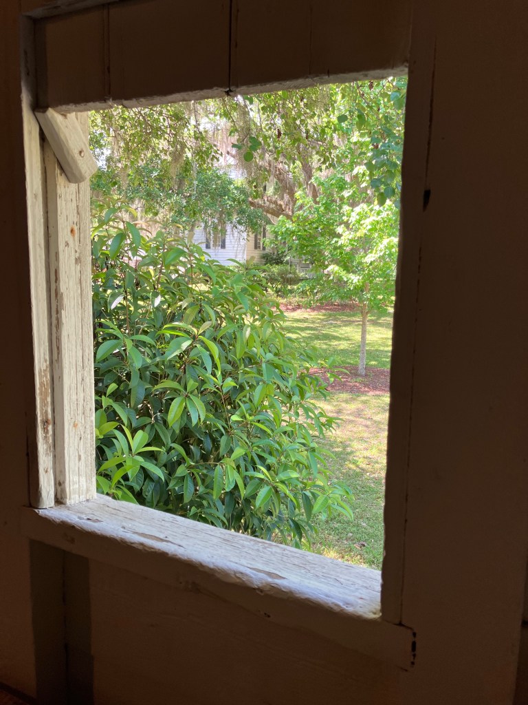Open window in a wooden cabin wall looking out to green shrubs