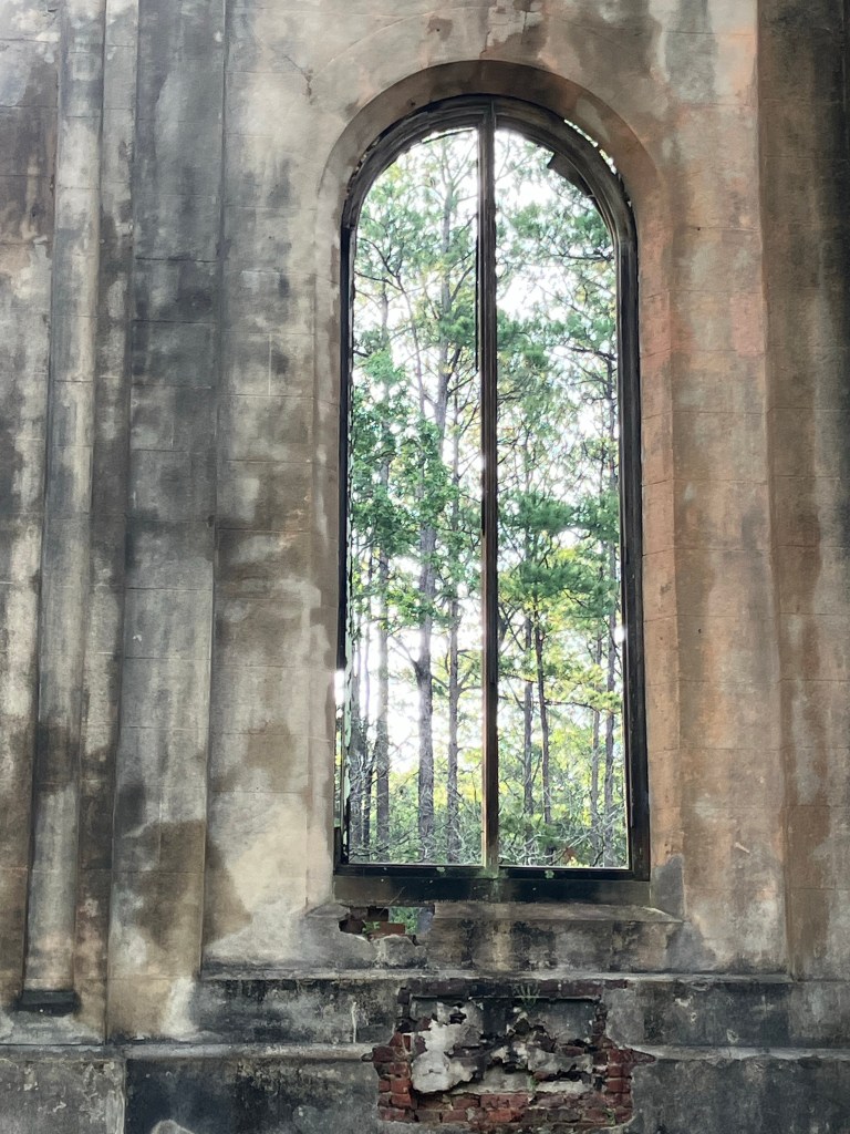 Tall arched window opening framing the pines