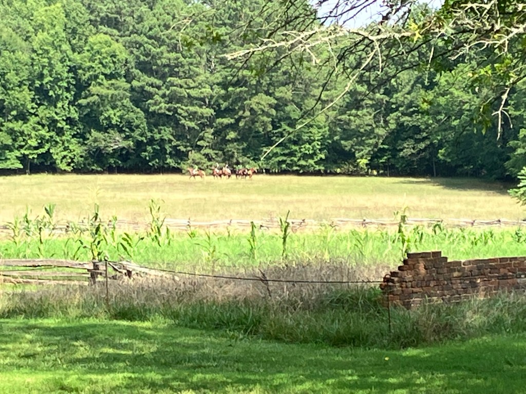 Open field and tree line at Historic Brattonsville