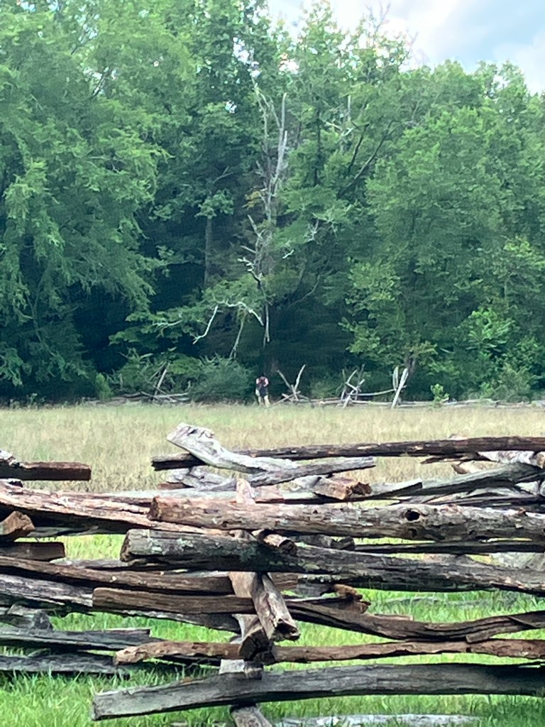 Stacked rail fence barricade on the Huck's Defeat battlefield