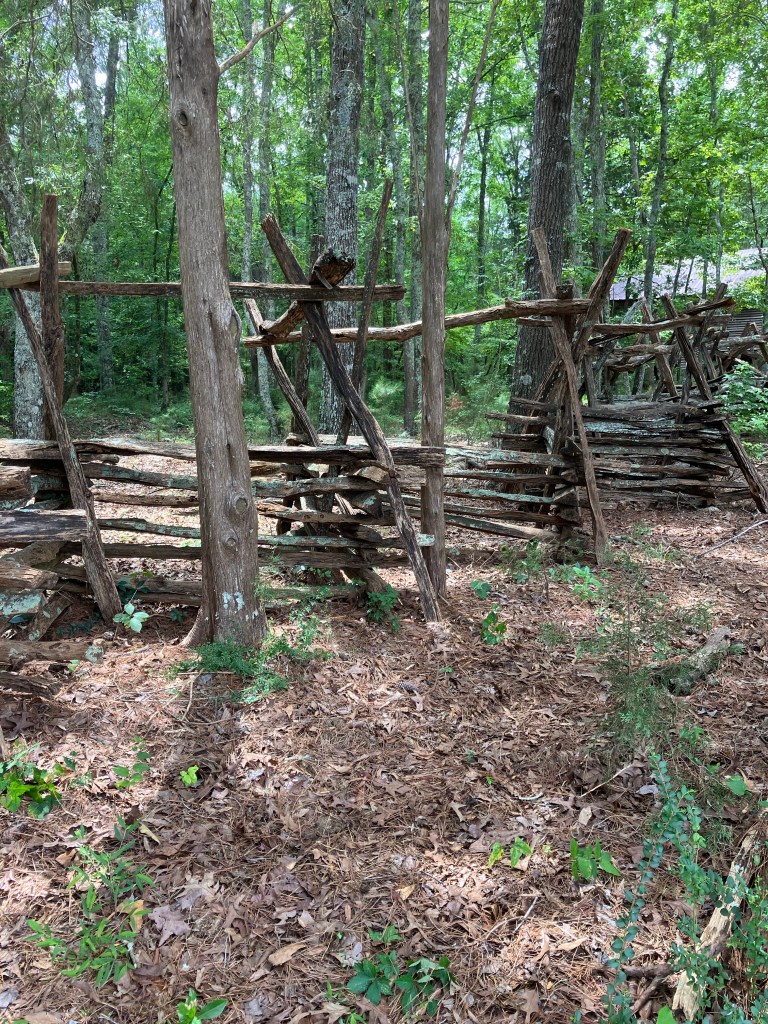 Split-rail fence through the woods at Historic Brattonsville