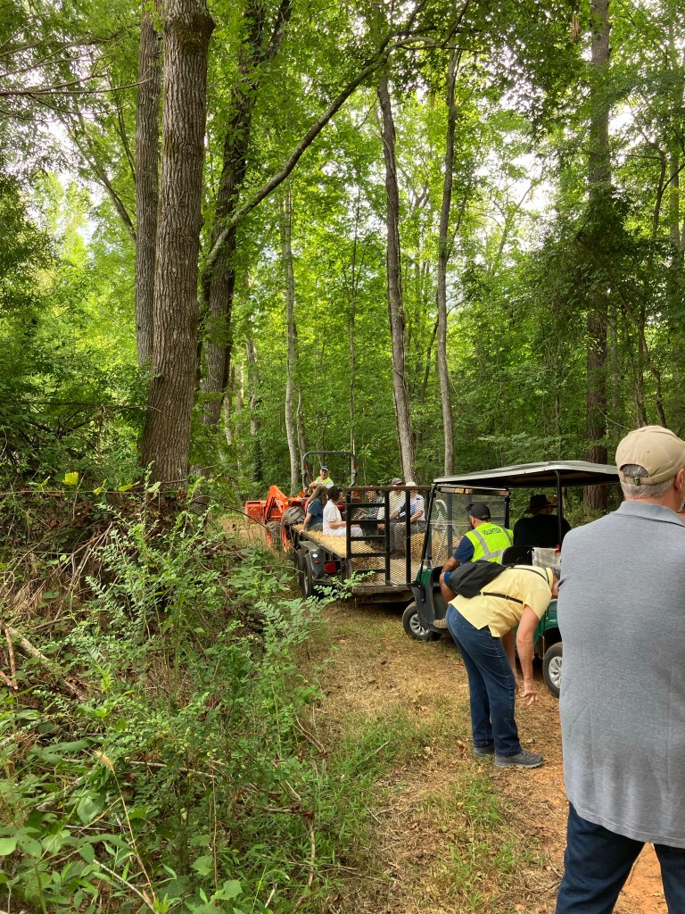 Visitors gathered along a wooded path near Hammond's Old Store