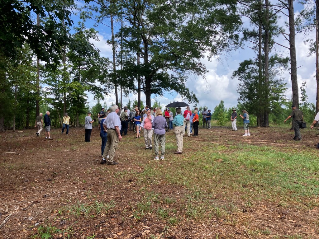 Group of visitors walking toward the Hayes Station monument