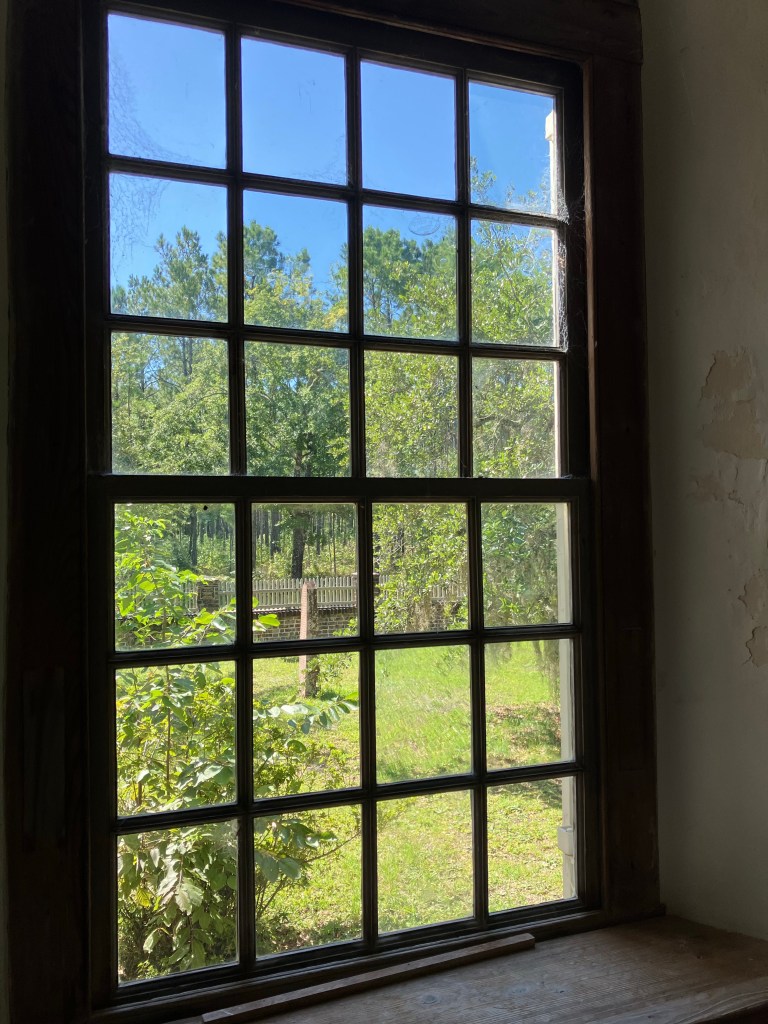 Window looking out at green trees