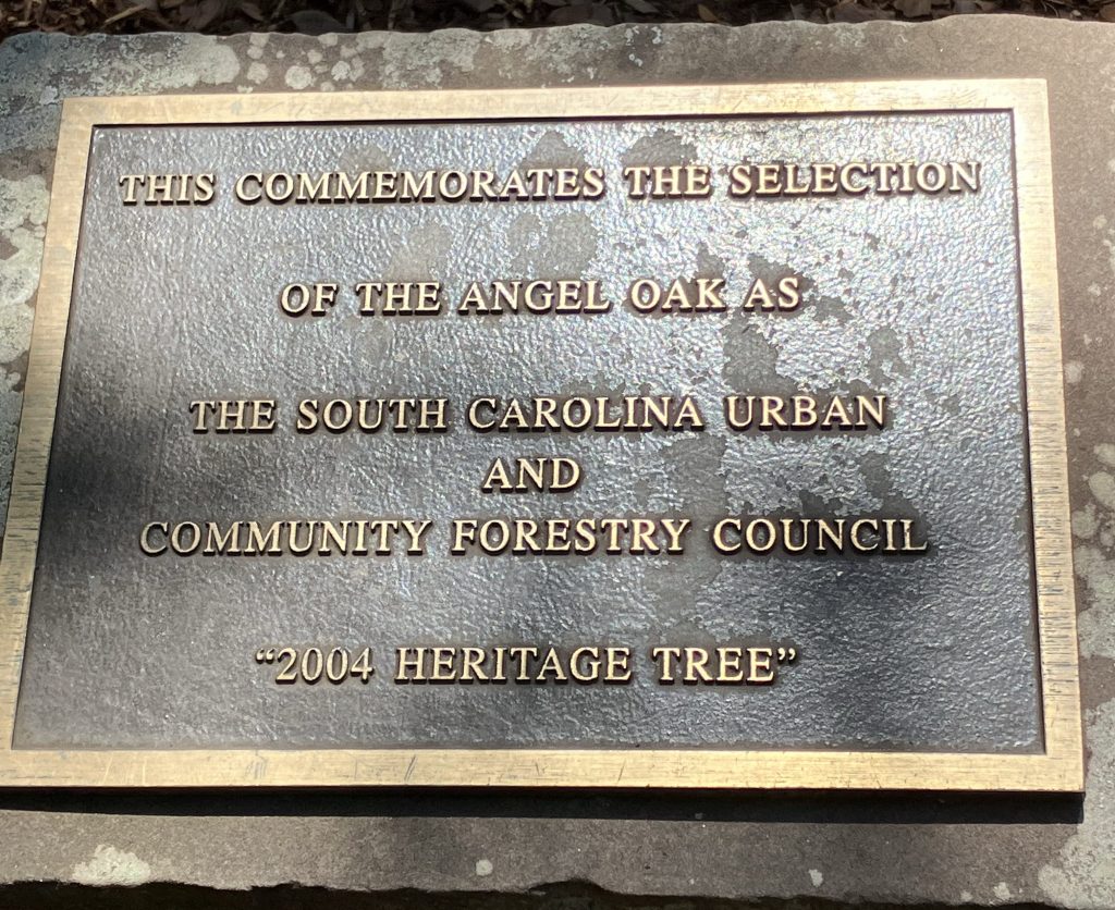 Plaque commemorating the selection of the Angel Oak as a South Carolina heritage tree
