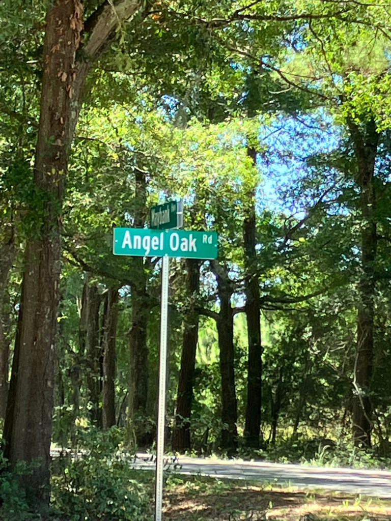 Angel Oak road sign among tall trees