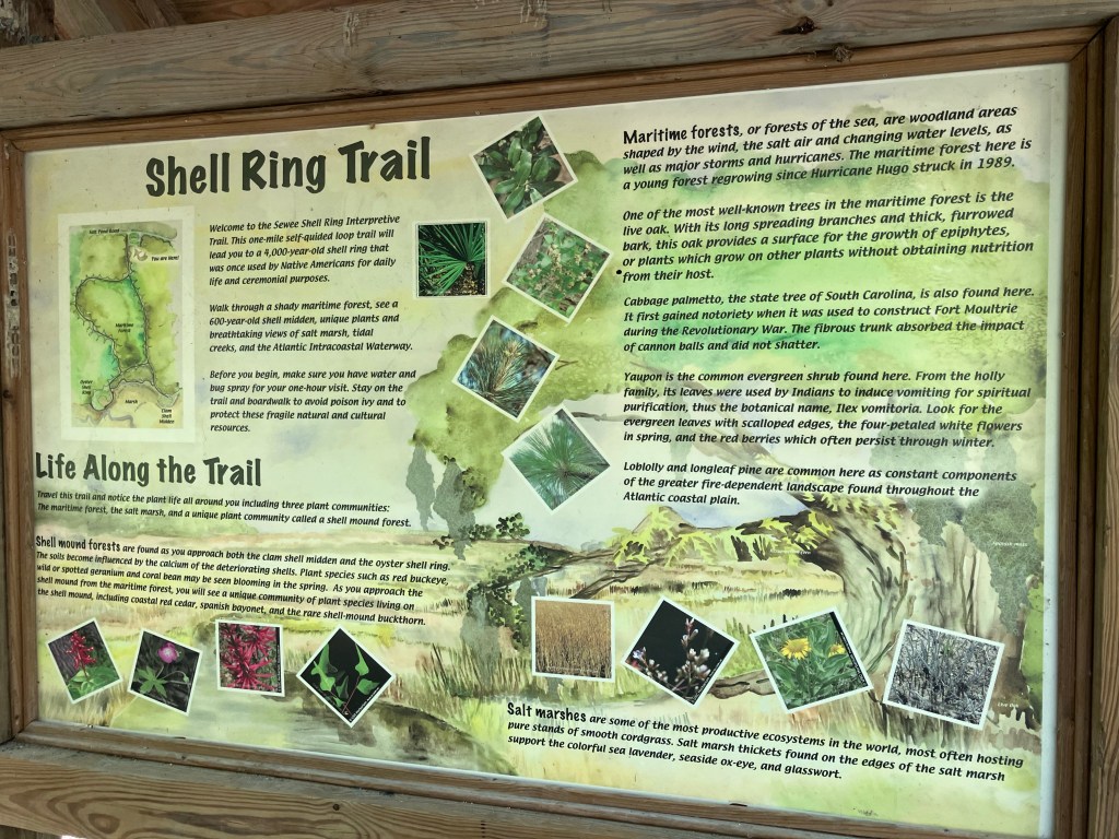 Shell Ring Trail information board