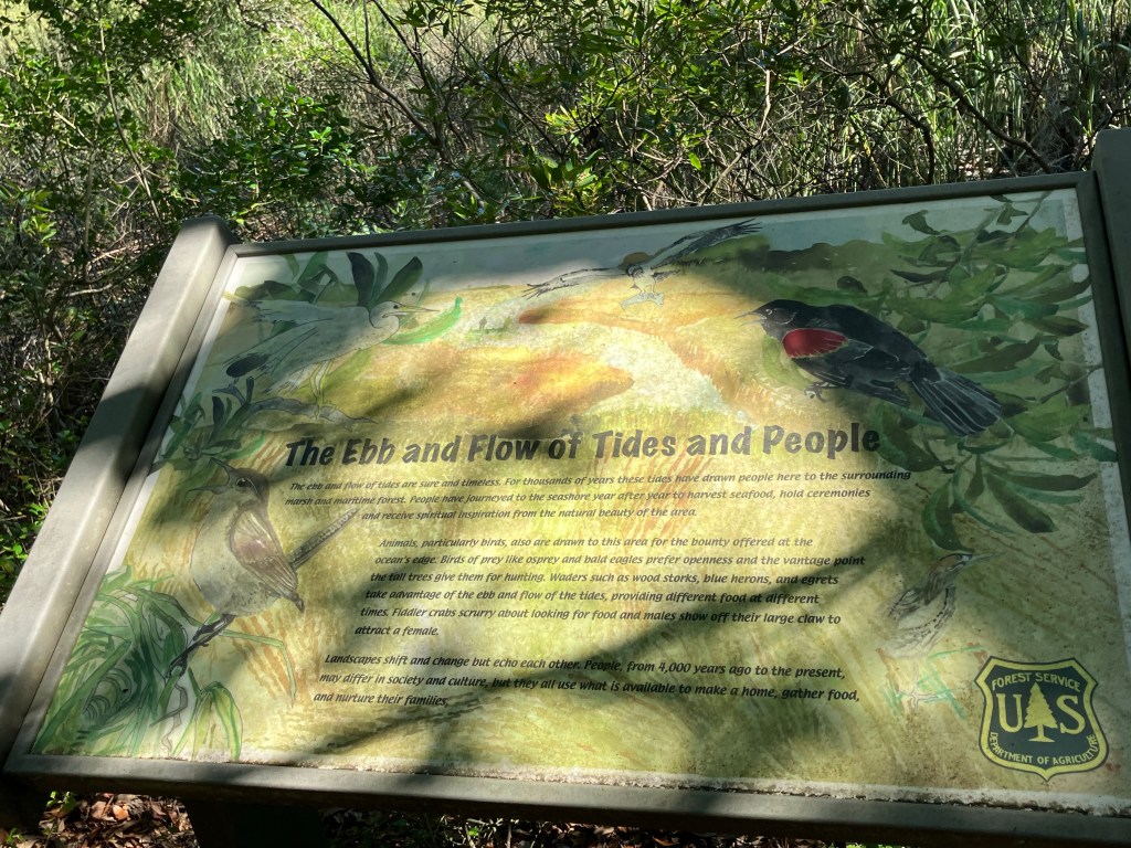 Forest Service sign about the shell ring and the people who built it