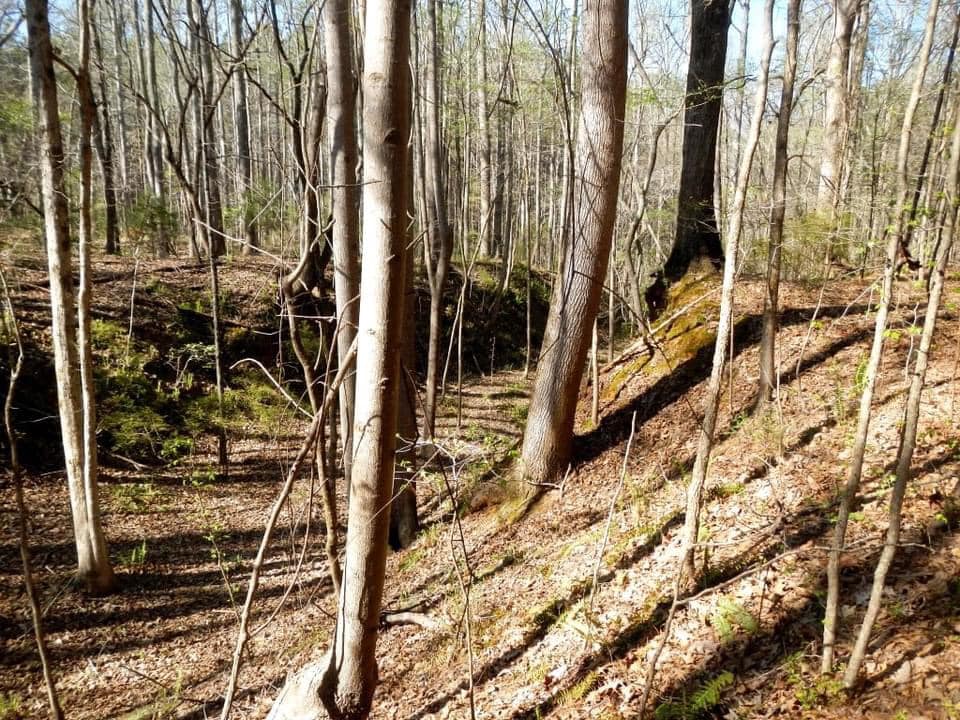 The colonial road at Hammond's Old Store
