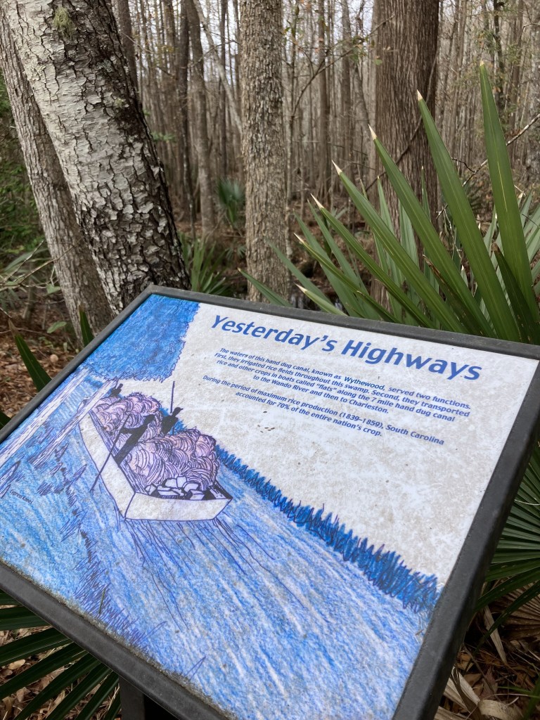 Interpretive sign beside the I'on Swamp trail