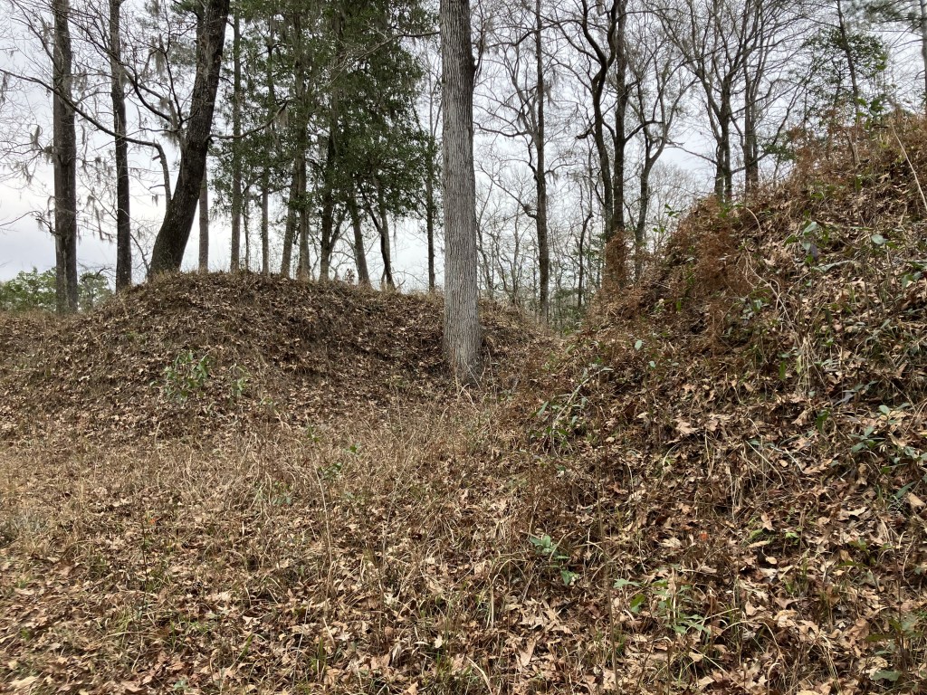 Earthwork mounds of Battery Warren in the woods