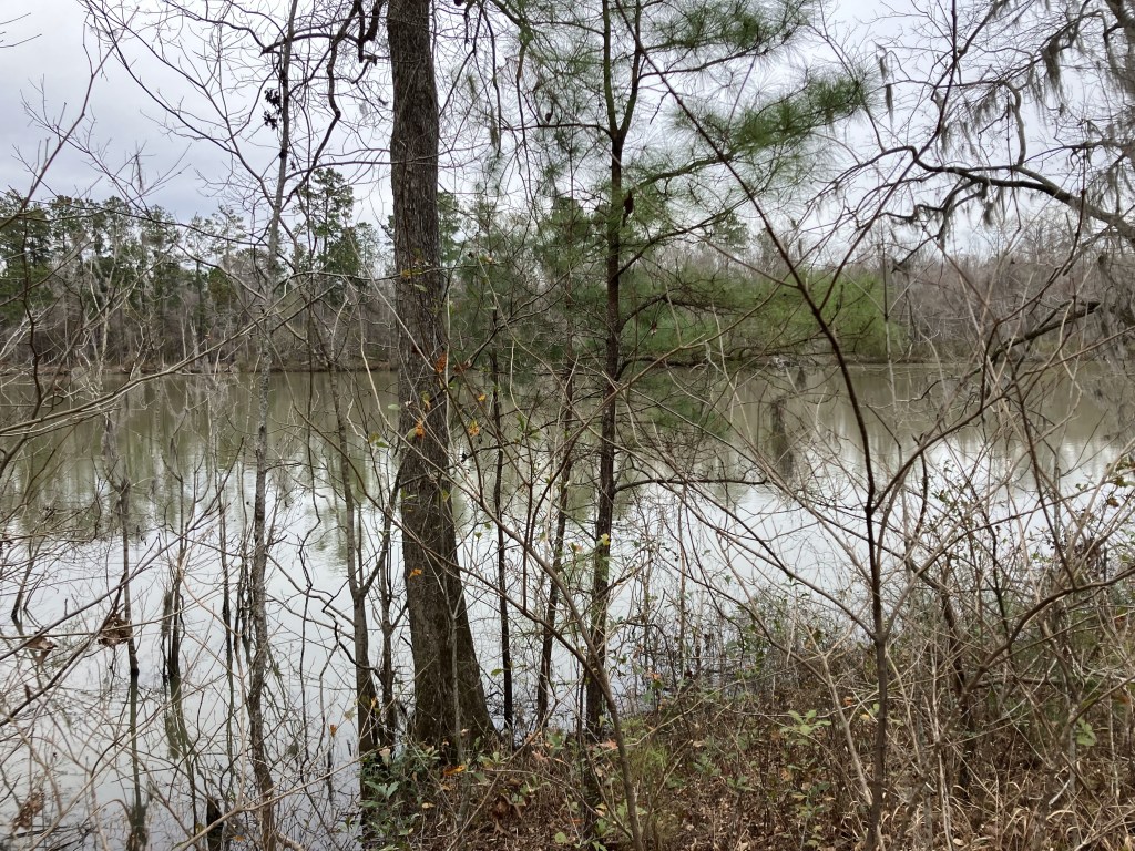 The river through bare trees from Battery Warren