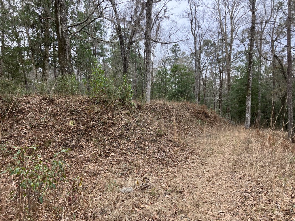 Leaf-covered earthwork walls of Battery Warren