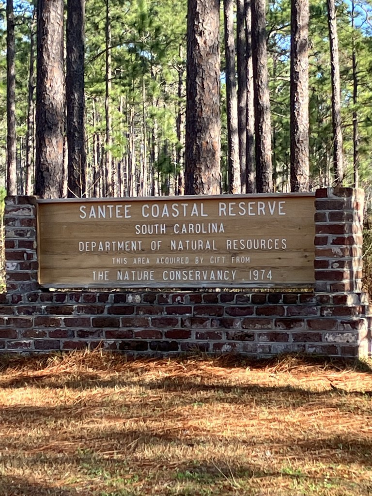 Brick entrance sign for the Santee Coastal Reserve