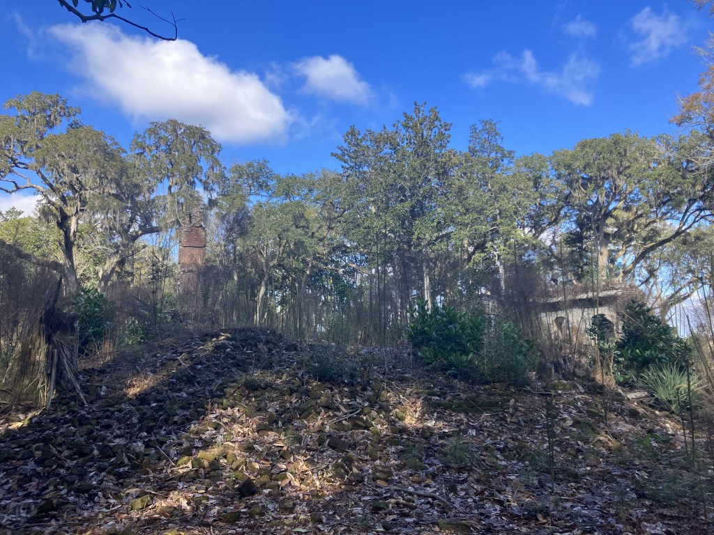 Ruins and trees across the clearing at Eldorado