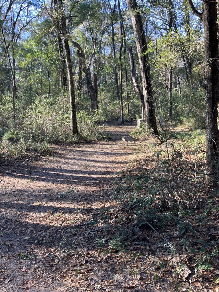 Dirt trail through the woods at Brookgreen