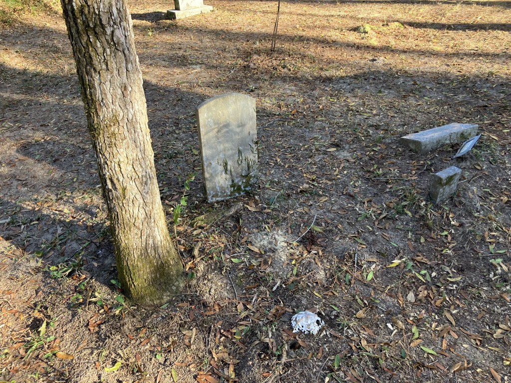 Small white headstone beside a tree trunk