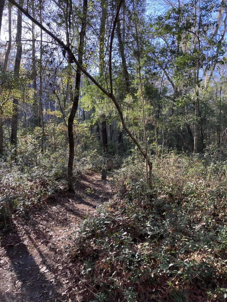 Path through the woods toward an enslaved people's cemetery