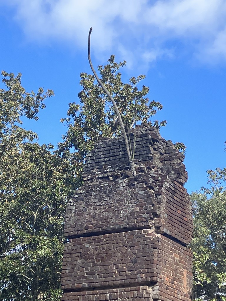 Weathered top of the chimney with a sapling