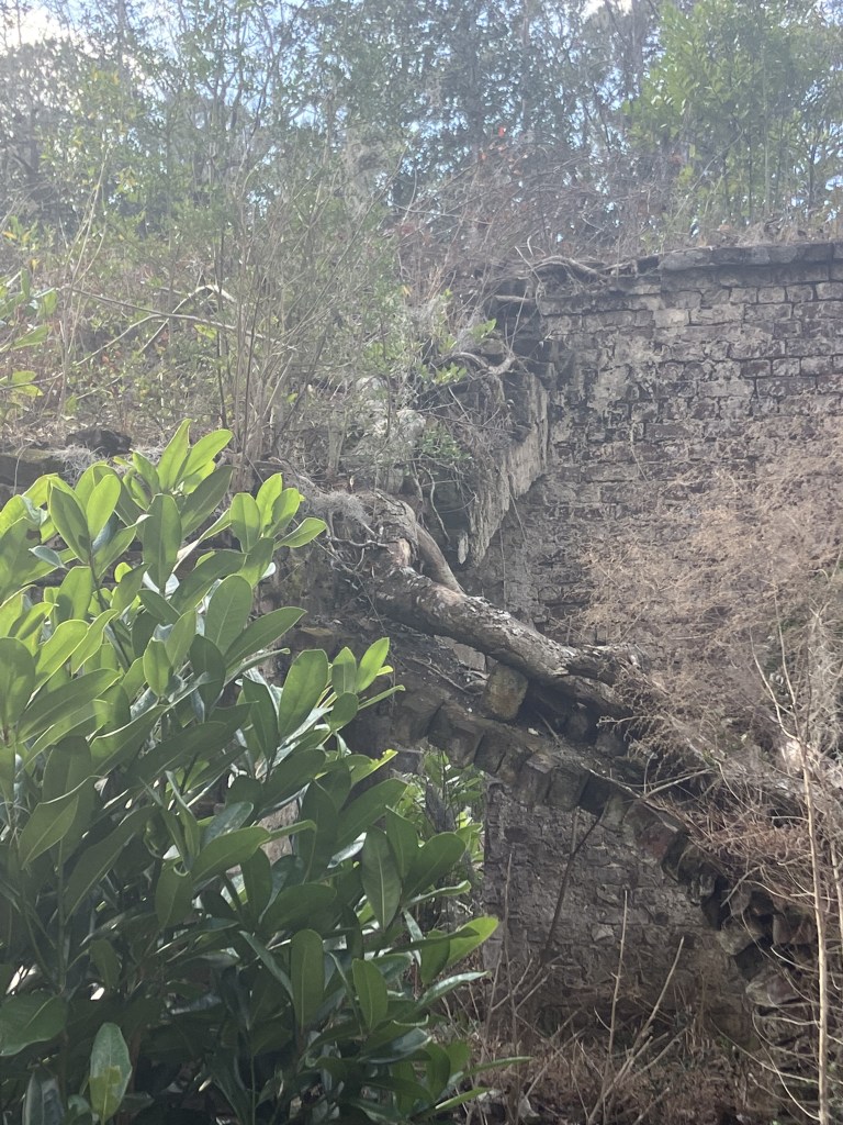 Overgrown brick wall of the Eldorado ruins