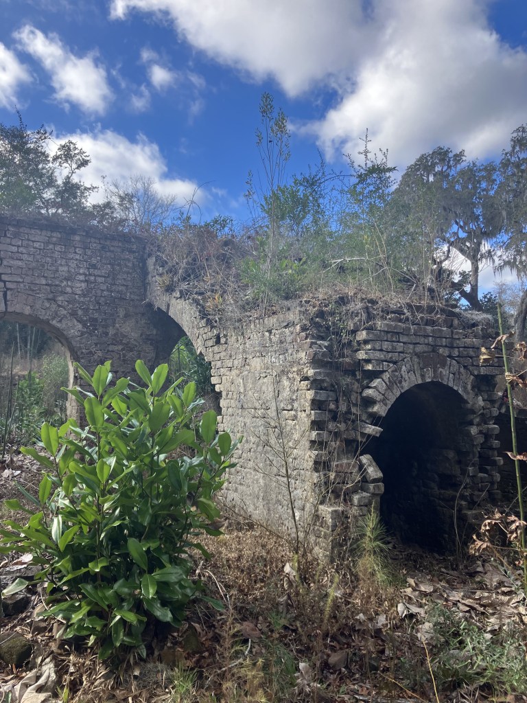 Brick foundation arch of the Eldorado ruins beside a shrub