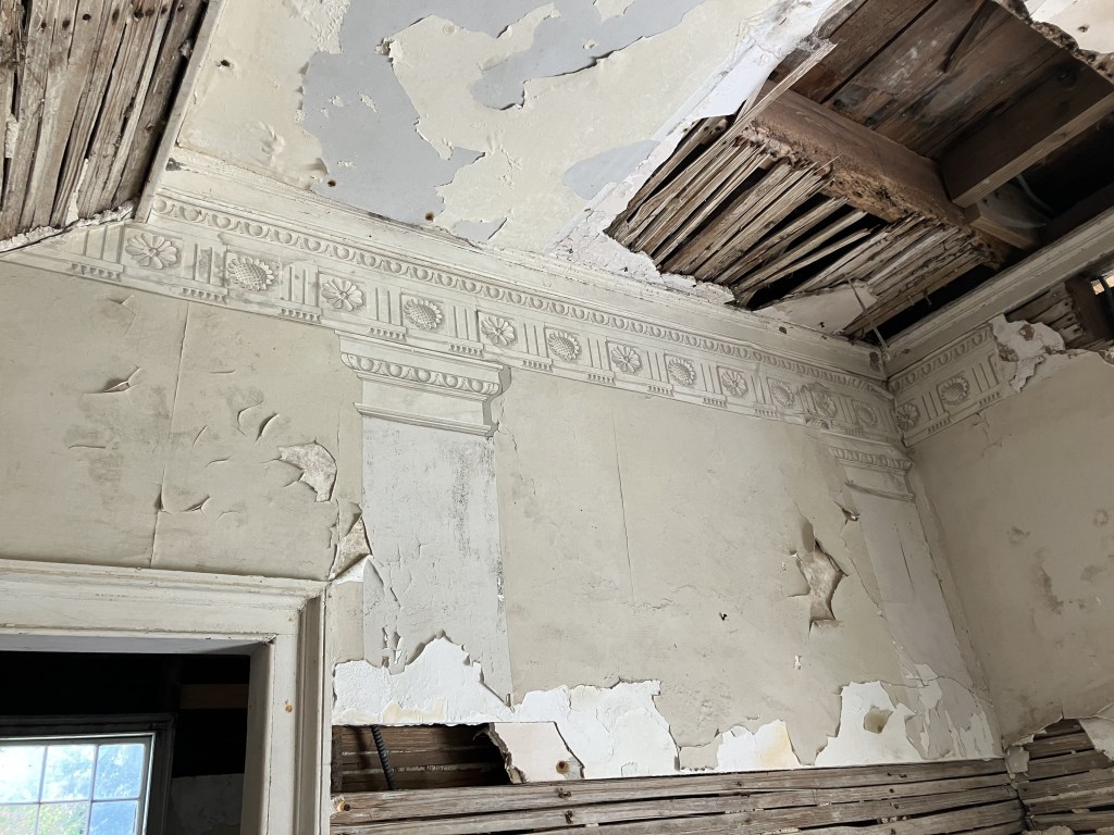 Ceiling with fallen plaster above carved molding
