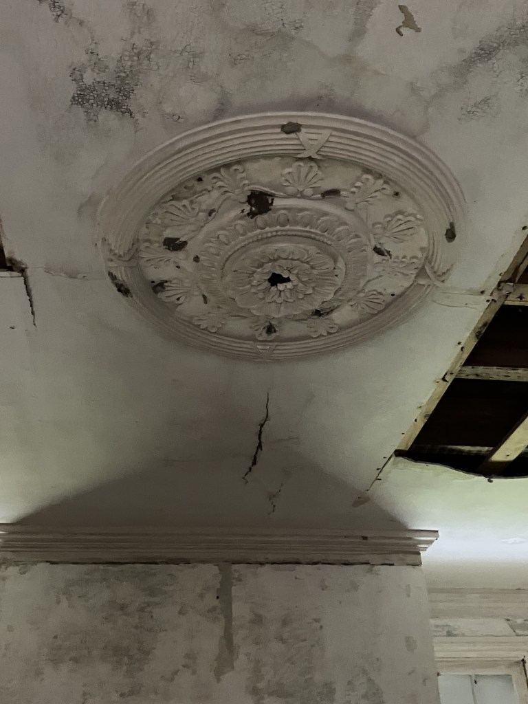 Ornate plaster ceiling medallion