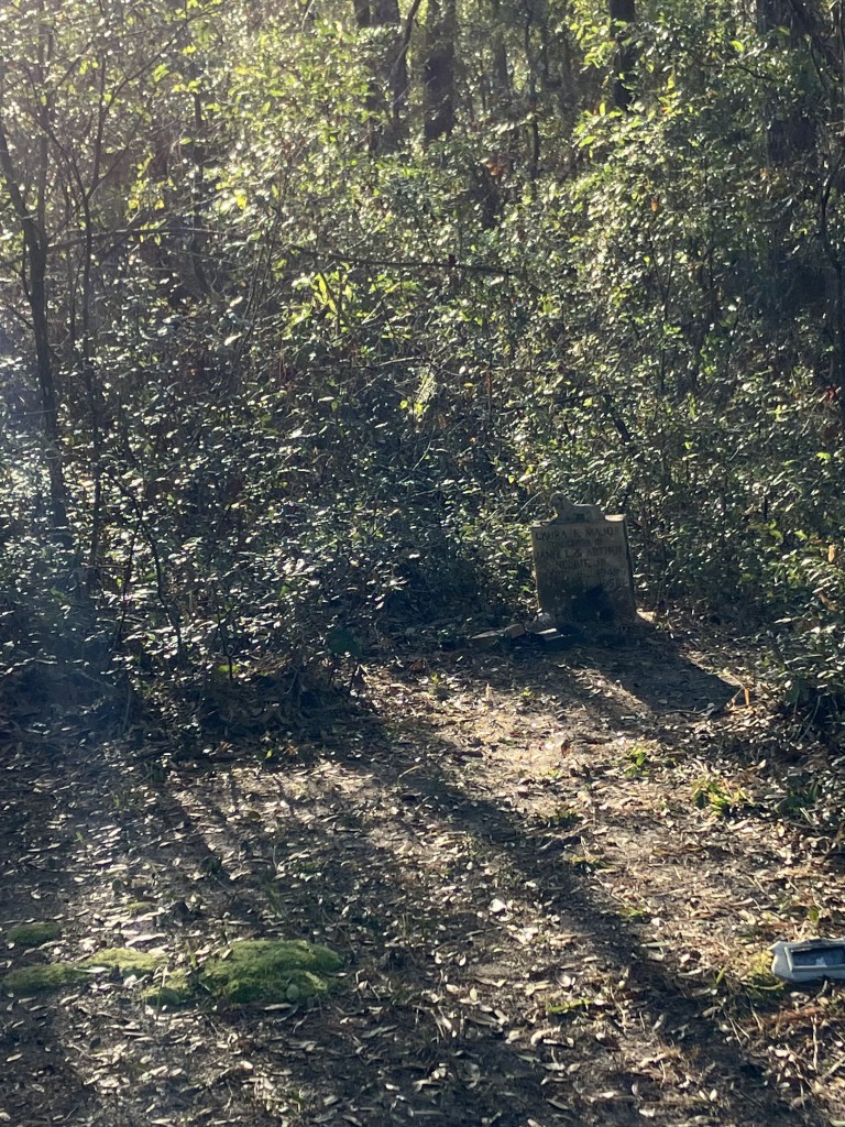 Grave markers half hidden in the undergrowth