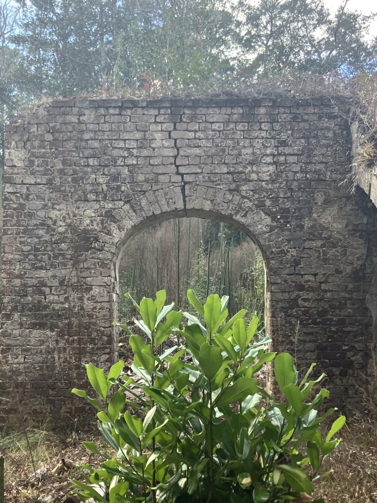 Brick arch in the ruined foundation with a green shrub