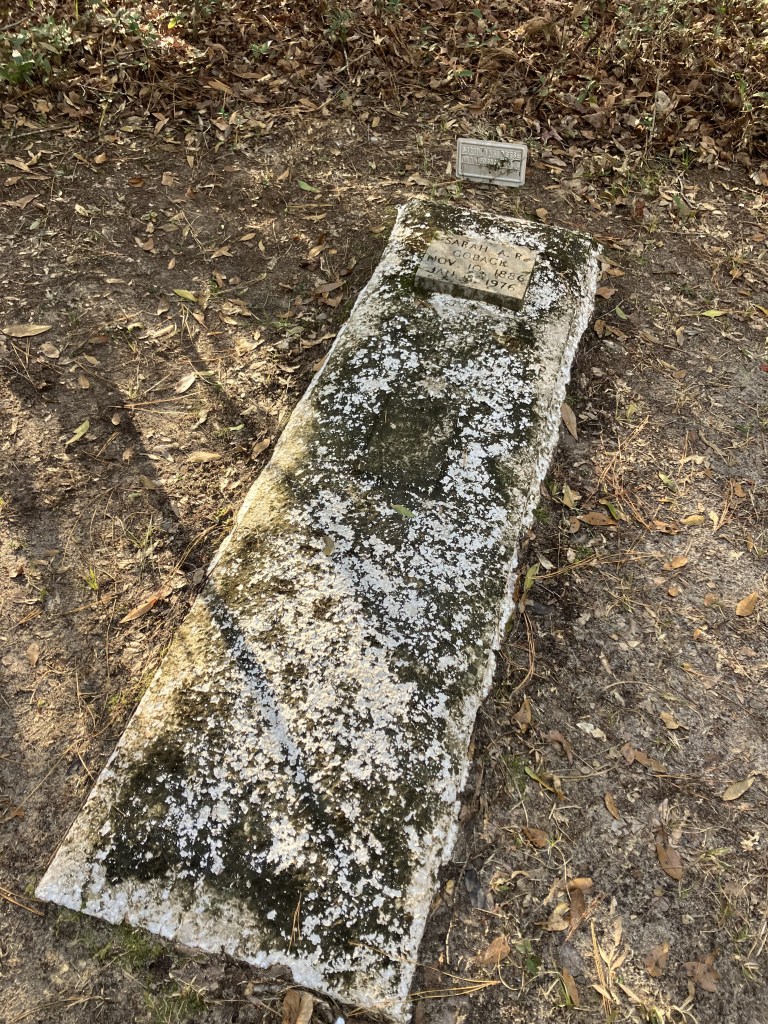 Weathered concrete grave cover on the forest floor