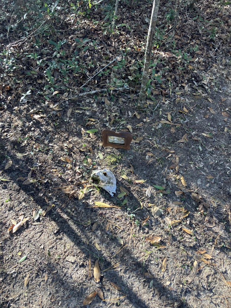 Small grave marker on the forest floor