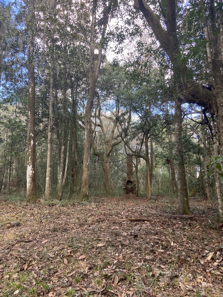 Open woods with a distant chimney at Eldorado
