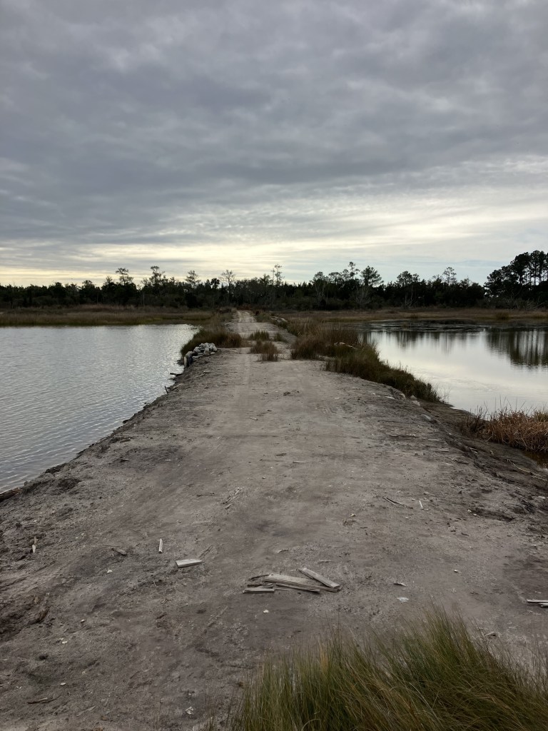 Sandy dike path between two ponds