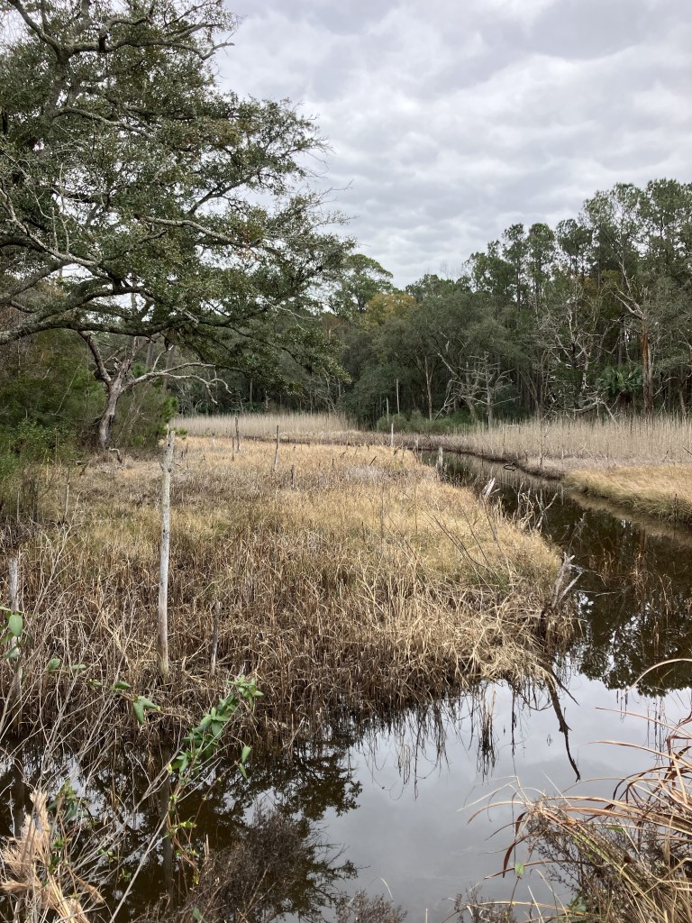 Water-filled canal alongside a grassy dike at Tibwin South