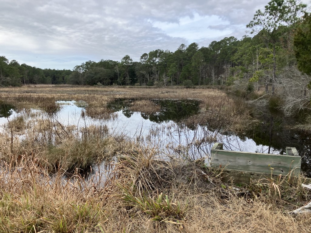 Pond and golden marsh grasses at Tibwin